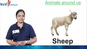 Karnataka State Syllabus | Class 1 | EVS | Chapter 1 - Animals Around Us | Part 1