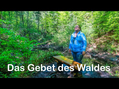 Video: Das Geheimnis Eines Verschwundenen Hauses Im Dickicht Des Waldes - Alternative Ansicht