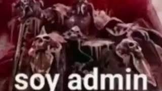 Soy admin xd