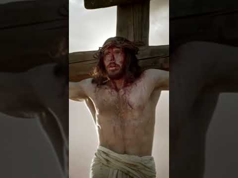 𝓥𝓮𝓻𝓼𝓲́𝓬𝓾𝓵𝓸𝓭𝓲𝓪𝓻𝓲𝓸  Reflexión Abril 3