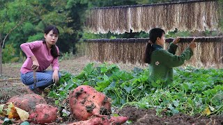 Sweet potato harvest, dug up to cooking all kinds of delicious food紅薯豐收啦，全部挖掉做成各種各樣的美食呀丨Lizhangliu