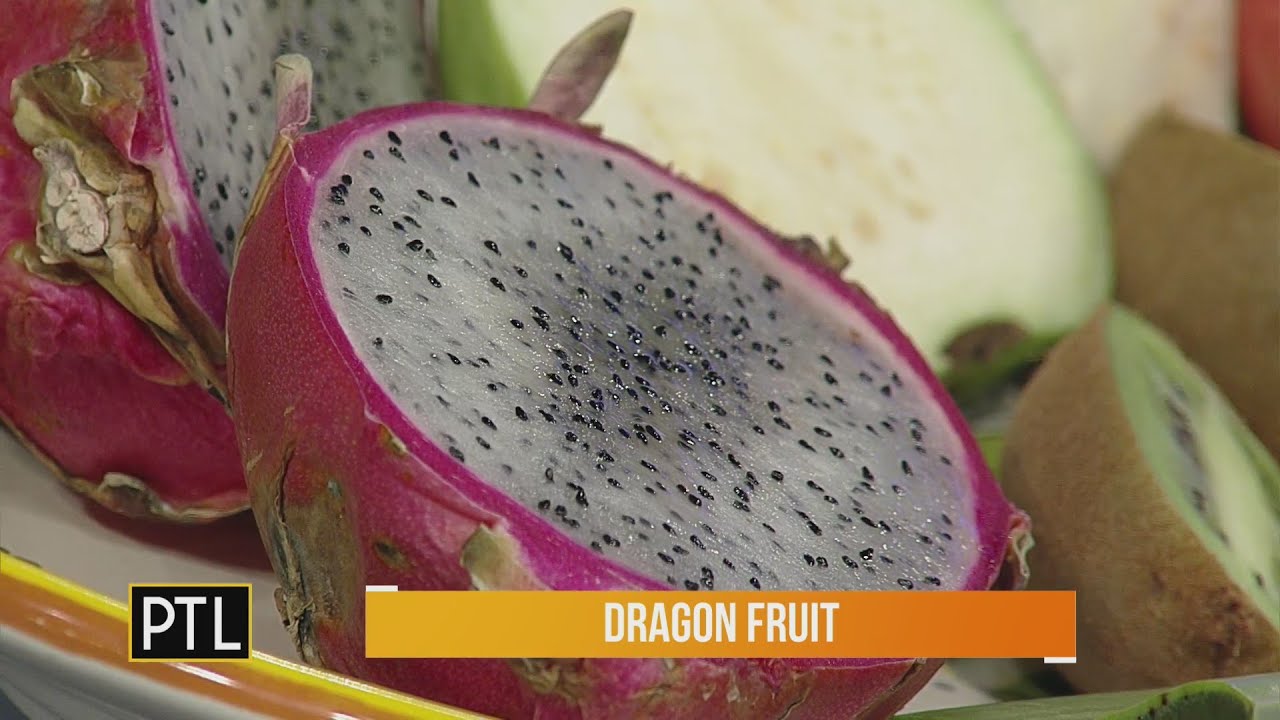 Taste It Tuesday Exotic fruits YouTube