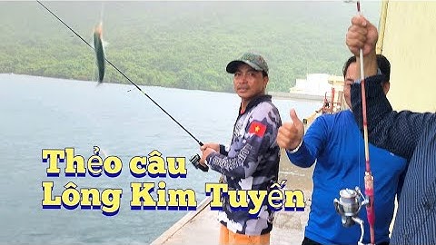 Câu cá ở đảo, cá mắc câu trên thẻo câu lông kim tuyến.