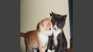 I Dont Want To Feel This Way Anymore