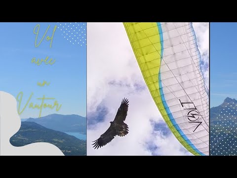 Aiguilles de Chabrières - Rencontre avec un Vautour