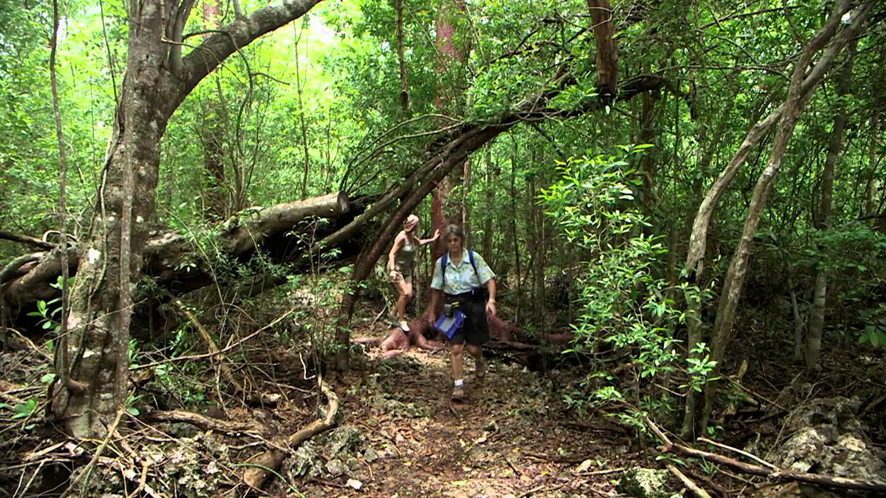 Explore Endless Cayman Island Activities for Your Destination Wedding Guests