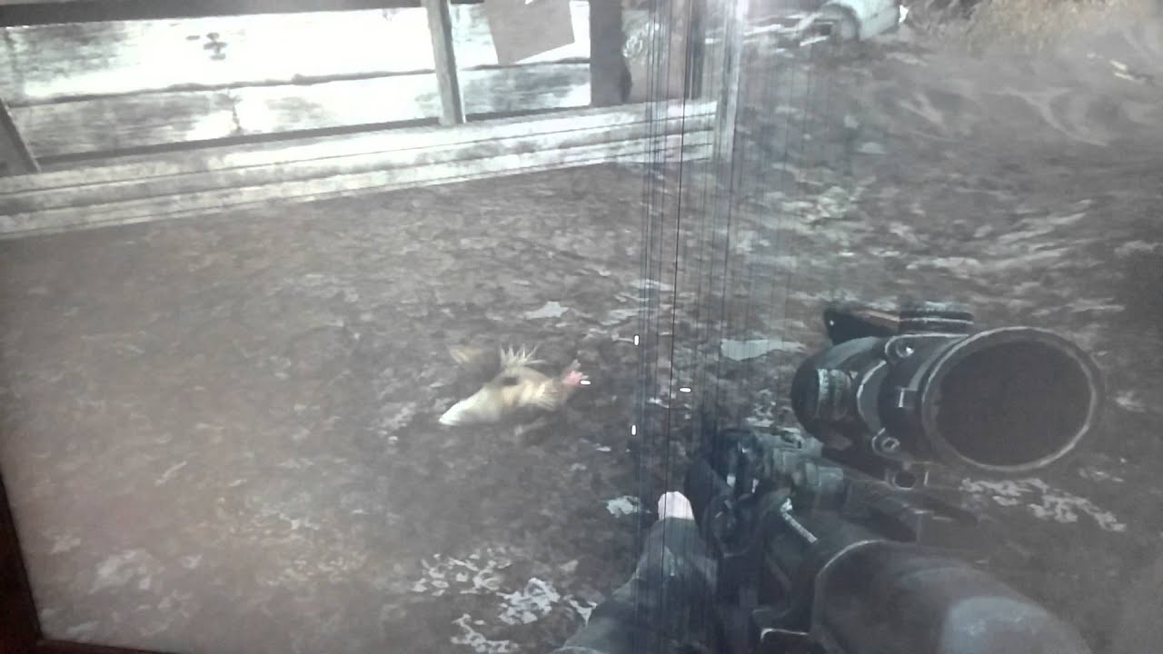 video phone beyonce mp3 Y U so crazy chicken? (MW3)