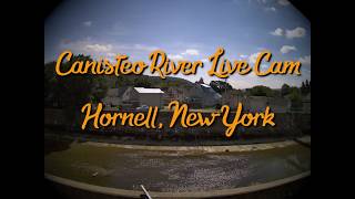Canisteo River Live Cam 24/7 - Hornell, New York - 10-15-2026
