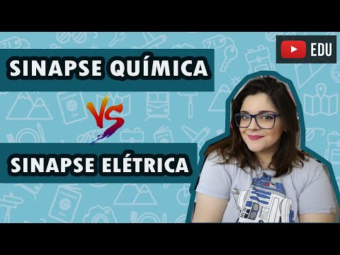 Vídeo: Diferença Entre Sinapse Química E Elétrica