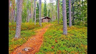 ЖИЗНЬ В ТАЙГЕ | Рыбалка в Карелии. Особенности карельской рыбалки
