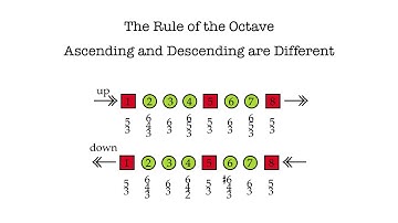Video 7.2--The Rule of the Octave
