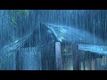 Fall Asleep in Under 6 Minutes | Heavy Rain & Thunderstorm at Night | Rain Sounds for Sleeping