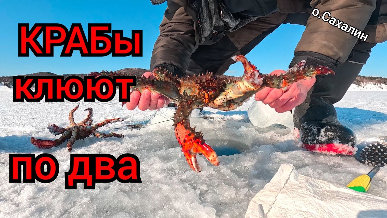 КРАБы клюют по два. Опасный лёд.