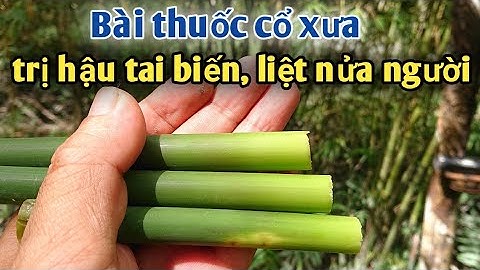 Bài thuốc cổ trị hậu tai biến, liệt nửa Người. PHAN HẢI Channel