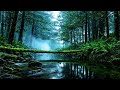 Tropical Jungle River Sounds at Night for Deep Sleep | Relaxing Water Flow Ambience