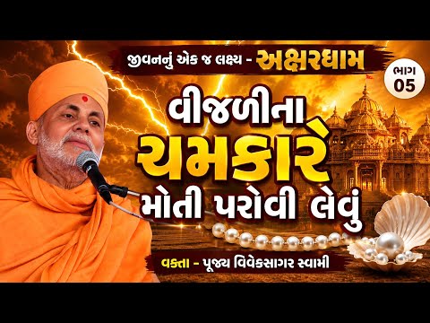 વીજળીના ચમકારે મોતી પરોવી લેવું | જીવનનું એક જ લક્ષ્ય - અક્ષરધામ | ભાગ ૦૫ | પૂજ્ય વિવેકસાગર સ્વામી