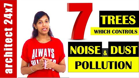 7 TREES WHICH CONTROL NOISE AND DUST POLLUTION!!