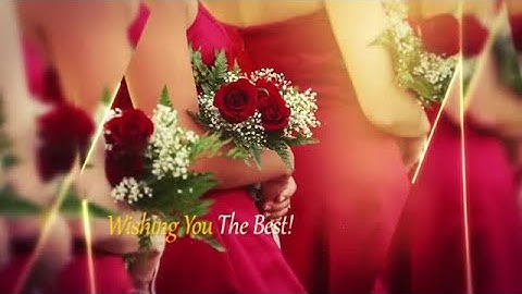 Elegant Parallax Slideshow Intro After Effects Templates