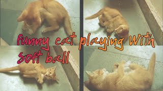 Funny little cat playing with soft polyball /funny cat video screenshot 2