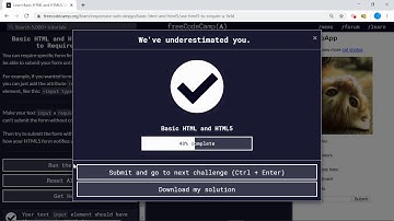 Basic HTML and HTML5 (21/28) | Use HTML5 to Require a Field | freeCodeCamp