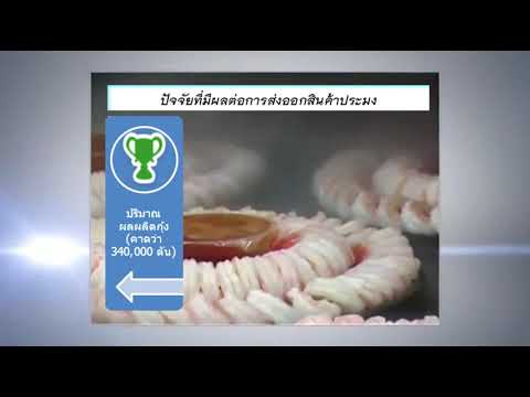 บทความพิเศษ