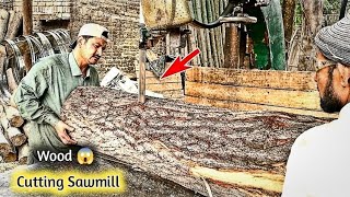 WOOD CUTTING SAWMILL MACHINERY 😱 | Kashi Tricks