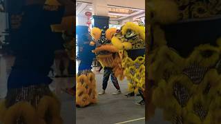 Barongsai lion dance barongsai lion dance!!