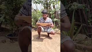 prathi samvastharam varshakalam||vachinnapudu nuvvulutho thimmiri||ready chesi#food #old #eating