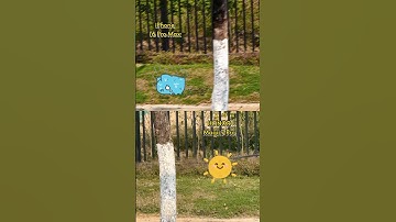 AI Anti-Shake in #HONORMagic7 laughs at vibrations. #HONOR #HONORMWC2025 #HONORALPHA #HONORAI