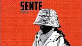 Bashkilla - sente