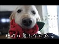 悲しみを乗り越えて前に進もうと思います