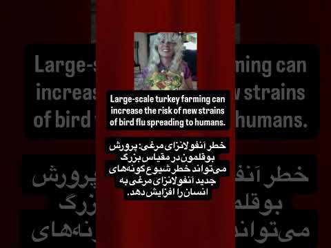 Thanksgiving Healthrisks Turkeystreetfood Thanksgivingturkey