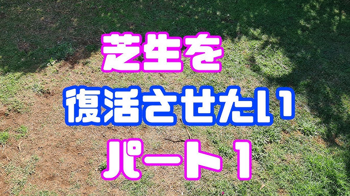 芝生壊滅 Tm9 93日目 ランナーがハゲた部分に露出 やっぱり目土でしょう Youtube 芝生壊滅 Tm9 93日目 ランナーがハゲた部分に露出 やっぱり目土でしょう Youtube