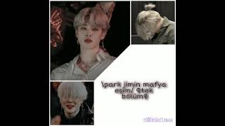 Park Jimin Mafya Eşim Tek Bölüm