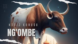 JE ? UMEOTA NDOTO KUHUSU NGOMBE ANGALIA HIYO