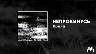 Непрокинусь - Крила