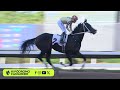 CARRERA 6 - 13/JUNIO/2026 (EL ESCOGIDO)