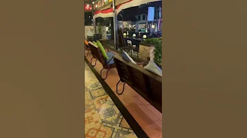 Https Vt Tiktok Com ZSAPJR7Ld 