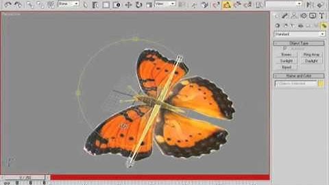 Tutorial 9 - Beautiful Butterfly Design, Animation in 3D Max Part 2