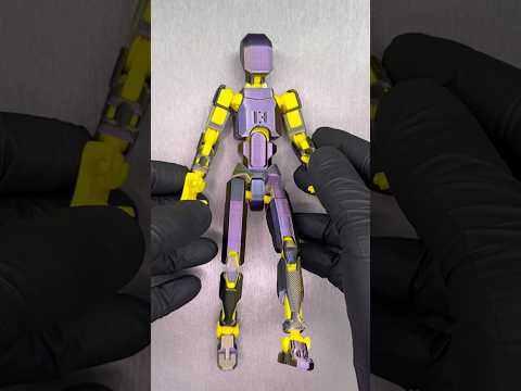 Dummy 13 Assembly
