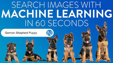 Search Images with Machine Learning
