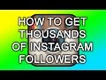 Gain Instagram Followers Free App