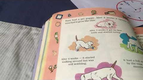 NCERT Class 4 - Rani’s Diary Part 3.