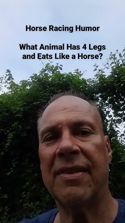 horse-racing-humor-what-animal-has-4-legs-and-eats-like-a-horse