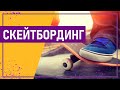 Вот это спорт! СКЕЙТБОРДИНГ