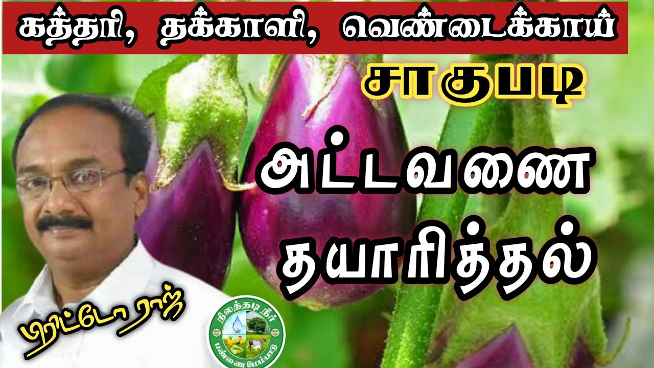 கத்தரி, தக்காளி மற்றும் வெண்டைக்கு அட்டவணை தயாரிப்பது எப்படி? 9944450552