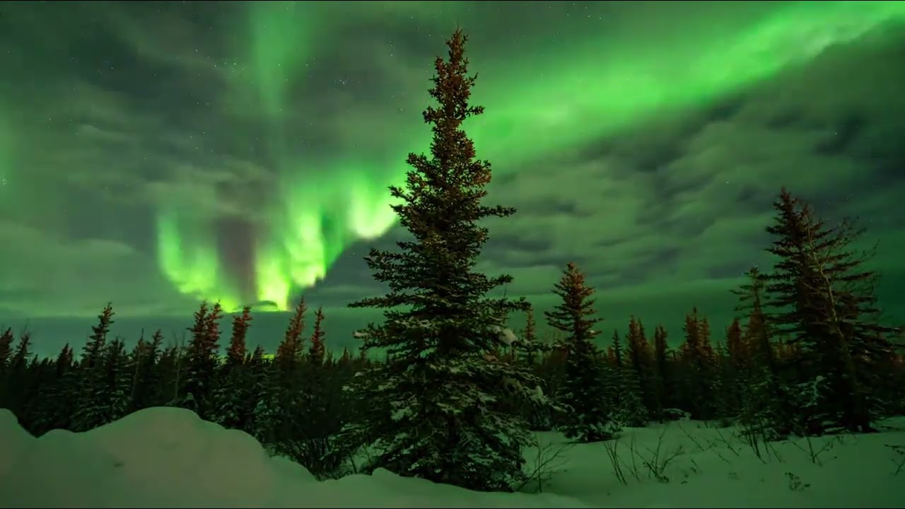 ASMR Soft Piano Strumming for a Good Night's Sleep 🌙