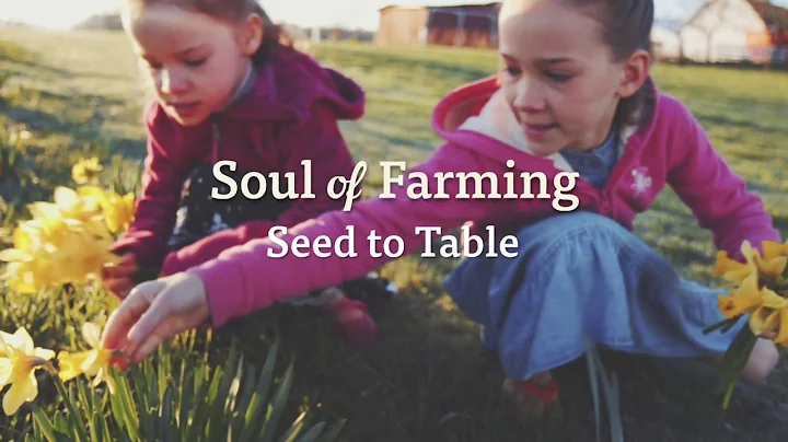 Charlene Stoller | Seed to Table | Organic Valley ...