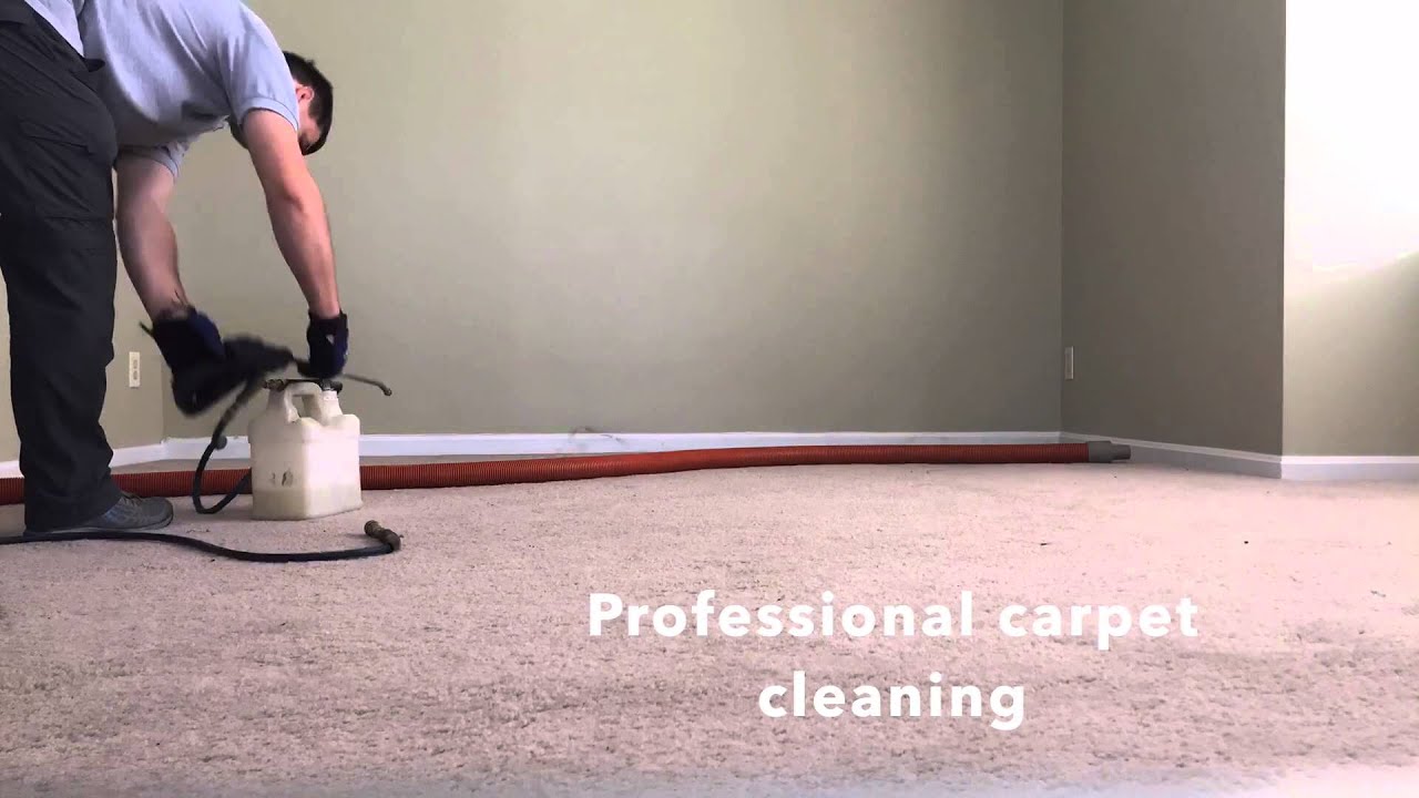 Carpet stretching and carpet cleaning Stafford VA YouTube