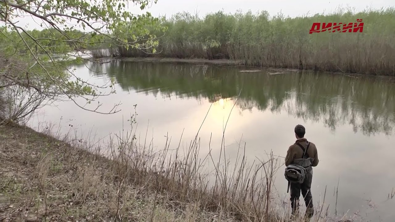 Павел Купцов нахлыст